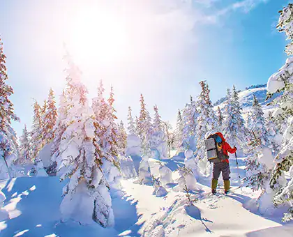 Grands domaines skiables